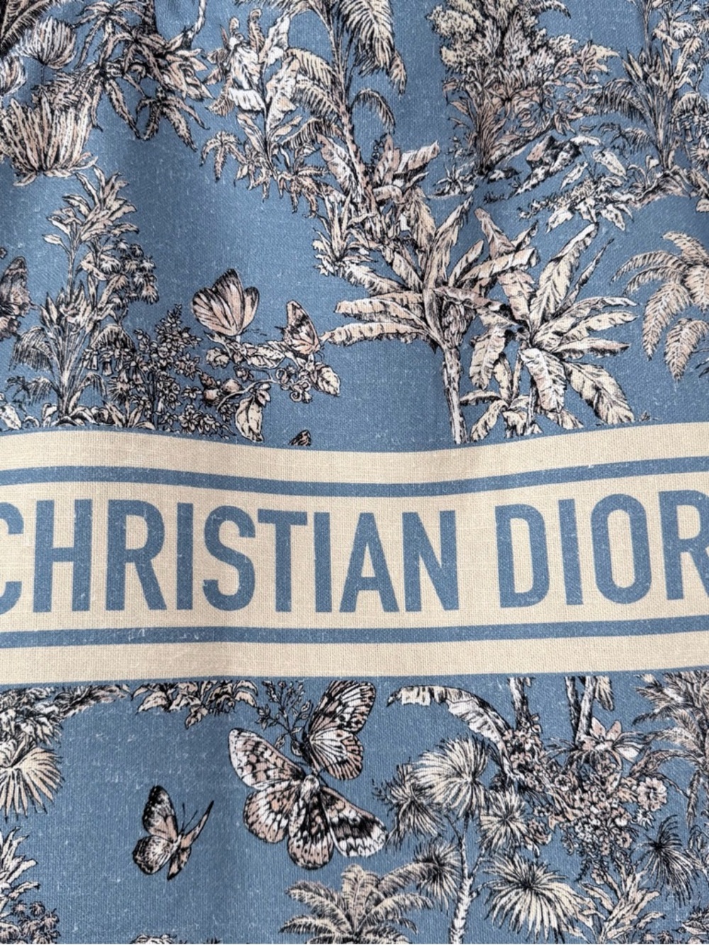 Dior Blue and Cream Toile de Jouy DiorRiviera Canvas Tote - Picture 3 of 10